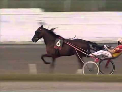 Trotto 21/06/2014 Corsa 2