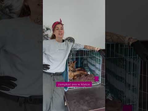 AVErsyjna Środa / klatka