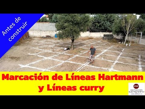 download lagu mp3 mp4 Hartmann Curry Lines, download lagu Hartmann Curry Lines gratis, unduh video klip Hartmann Curry Lines