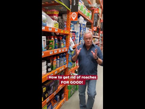 The BEST Way to Eliminate Roaches!