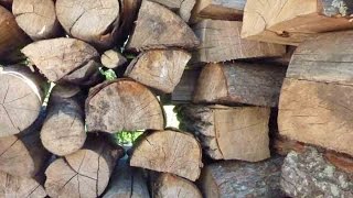 preview picture of video 'Woodpile Primitives: Some Places OTR Trucks Just Don't Go'