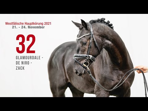 Hauptkörung 2021 Reitpferdehengste Kat-Nr. 32 Glamourdale - De Niro - Zack