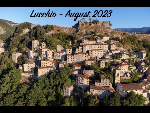 Lucchio Video
