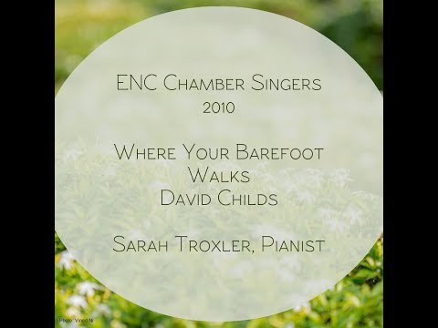 Where Your Barefoot Walks  (2010) • David Childs