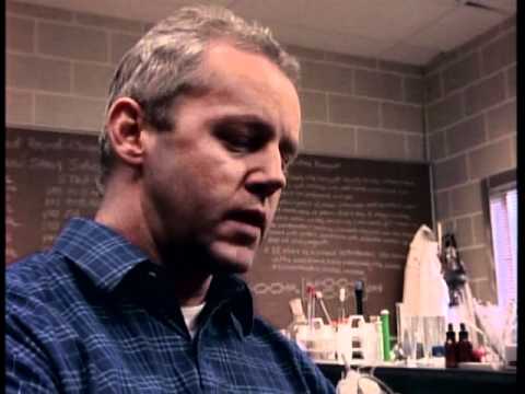 David Morse - "Homicide"