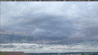 WHEN GODS COLLIDE   VIDEO