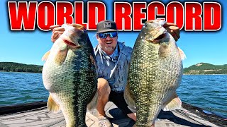 The WORLD RECORD Bass Lives HERE!! Unbelievable Double Digit Spotted Bass Mission!