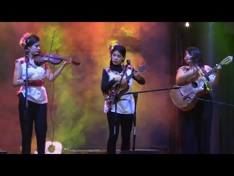 LAS ALONDRAS HUASTECAS | CONCIERTO en CDMX