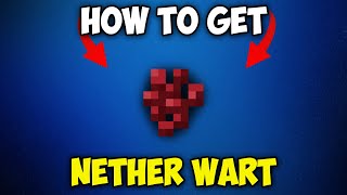 How to Get NETHER WART in Minecraft 1.21.3