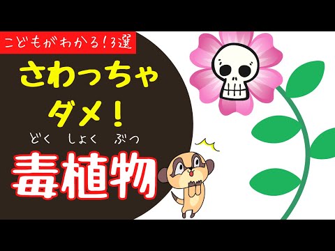庭の有毒植物 致命的な危険 緑の素晴らしさ 色とりどり