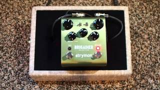 Strymon Brigadier dBucket Delay - What To Know & Where To Buy