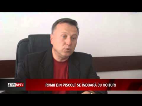 ROMII DIN PISCOLT SE INDOAPA CU HOITURI