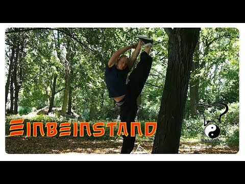 Einbeinstand / Spagat im Stand lernen / Tutorial / how to spagat