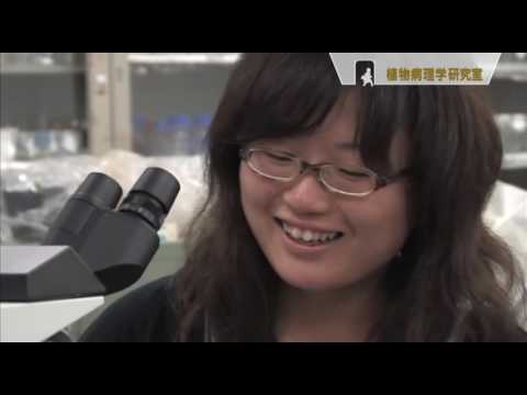 植物保護製品: 9 つの最も重要な生物学的活性成分