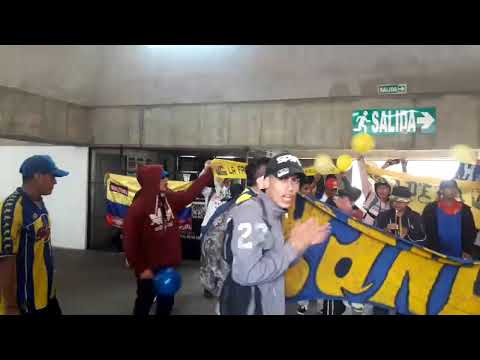 "PODEROSO DEL PUERTO ðŸ¬ðŸ§¨" Barra: La Banda Cetácea y Perro Muerto &bull; Club: Delfín SC