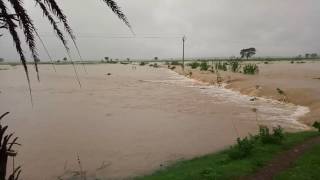 preview picture of video 'Flood In Bastar Region'