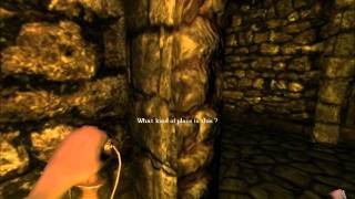 Amnesia the dark decent: The curse of Brewer Manor [Norwegian]