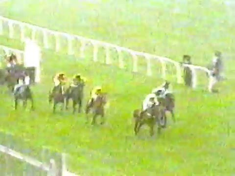 1999 - Aintree - Barton & Guestier Top Novices' Hurdle - Joe Mac