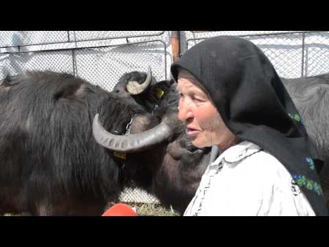 Târgul Agraria, Miss Bivolița, 26 aprilie 2013