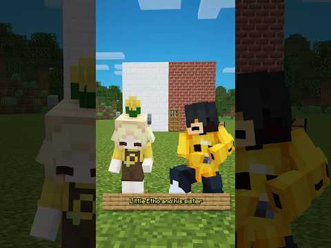 Redecorating Little Etho's house In Minecraft