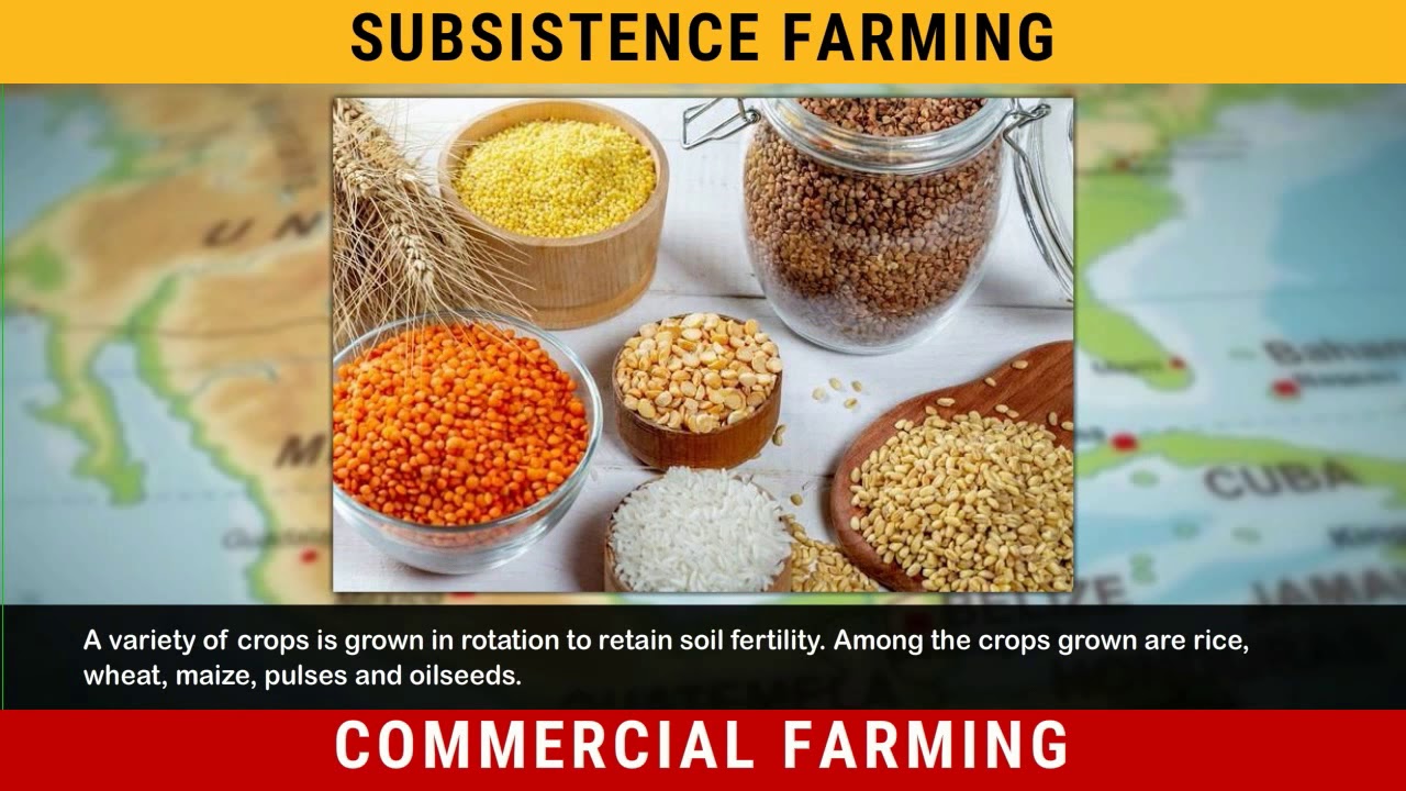 Types of Farming - Subsistence and Commercial Farming | Geography Class 8