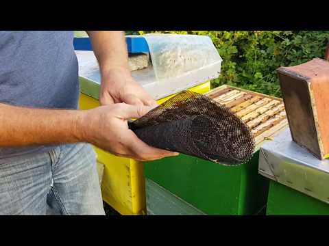 Sakupljanje propolisa mrežicom