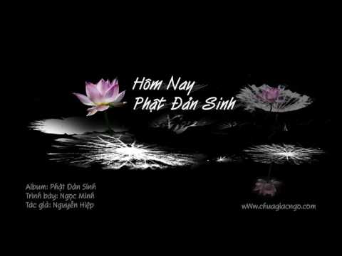 Hôm nay Phật Đản Sinh