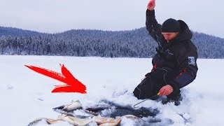 Леска для зимней рыбалки красная