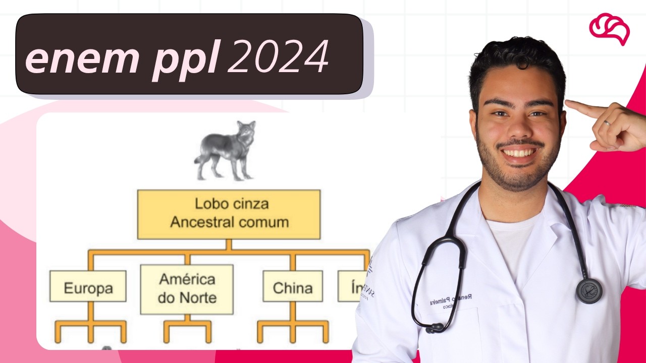 Resolução em Vídeo — Questão 113 ENEM 2024 PPL