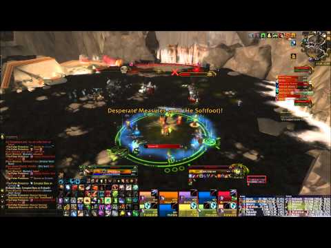 Reunify Vs The Fallen Protectors 10 Man Heroic - Resto Druid POV