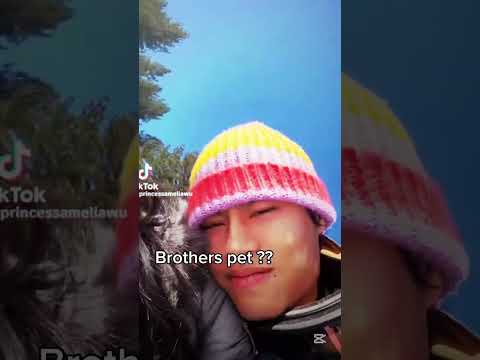 Brothers pet…? || Amelia and Thomas wu #shortsvideo #fypage #thomaswu #princessamelia #nevada #vent