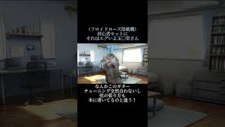 北海道の楽器屋さんでの苦い思い出（訂正版）【猫ミーム】#猫ミーム #猫ミーム日常#shorts#short #ギター#guitar