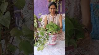 Transforming trash into treasure with this DIY makeover project!  #madewithitsybitsy #diy