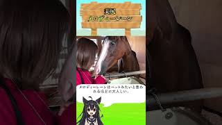美尻メロディーレーン#競馬#JRA#お尻#中央