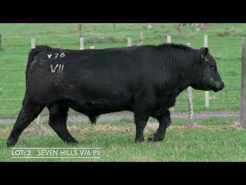 Lot 2  SEVEN HILLS V76 PV