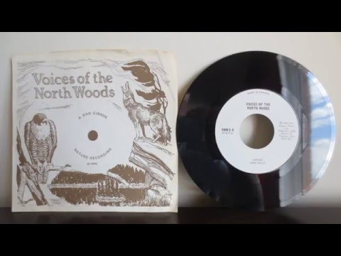 Dan Gibson ‎– Voices Of The North Woods (1963) - Nature Field Recording