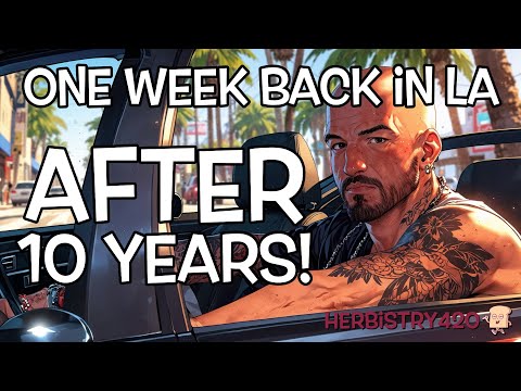 One Week Back in the USA: 5 Stoner Adventures in LA