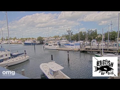 Hogfish Bar & Grill - Safe Harbour thumbnail