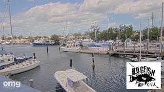 Hogfish Bar & Grill - Safe Harbour