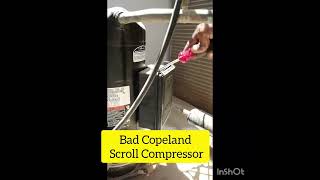 Bad Copeland Scroll Compressor l Faulty Compressor l scroll compressor mechanical problem l #shorts