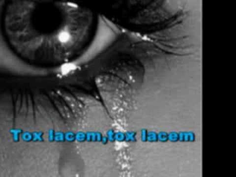 Tox lacem,tox lacem