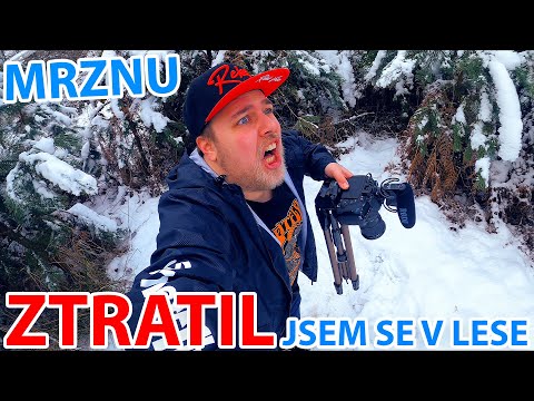 ZTRATIL JSEM SE V LESE - WEEK #245