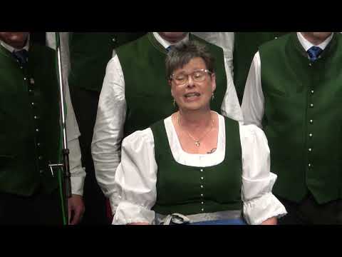 Wia in mein Tram Solo Gerrie Steiner - Kärntner Sänger Knittelfeld