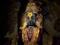 भागवत एकादशी Bhagwat Ekadashi Status Nirjala Ekadashi Status Ekadashi Vitthals