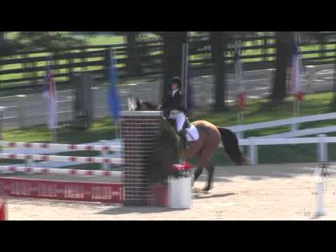 Video of ANDANTE ridden by CRISTINA LONGO from ShowNet!