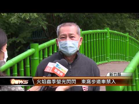 新竹縣火焰蟲季螢光閃閃 東窩步道車禁入│T-NEWS聯播網