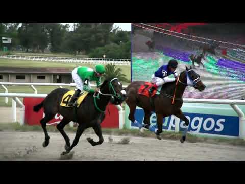 211203 c06 - EL BOXEADOR - HIPODROMO LAS PIEDRAS