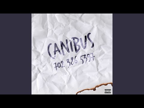 Video thumbnail for 702-386-5397