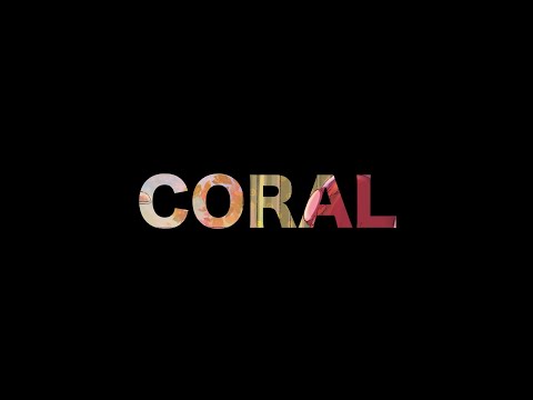 Kanet - Coral [Video]