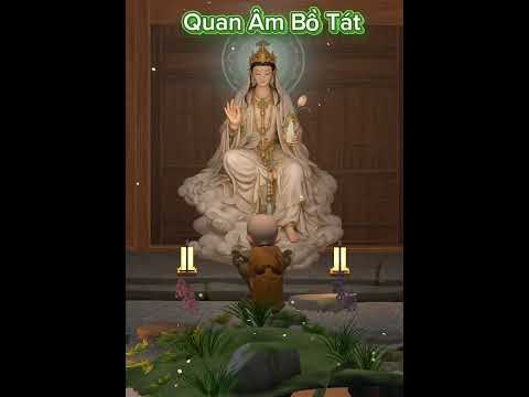 Tâm An video thumbnail